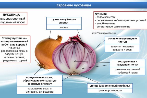 Прямая ссылка на кракен